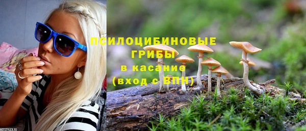 гашик Михайловка